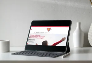 diseño web para organizaciones sin fines de lucro